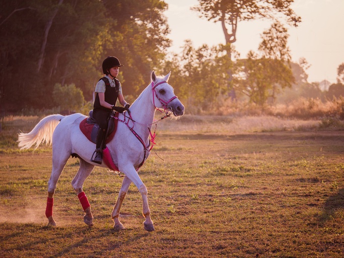 dziewczyna trenuje jazdę konną