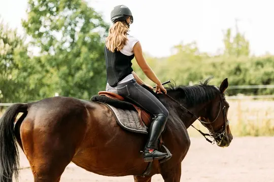dziewczynka na koniu