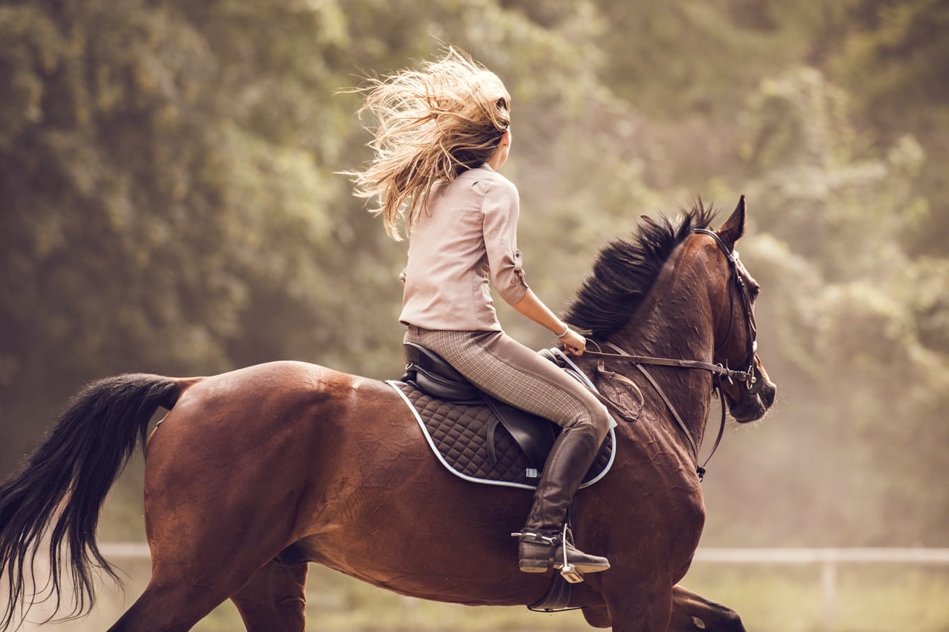 bryczesy jeździeckie