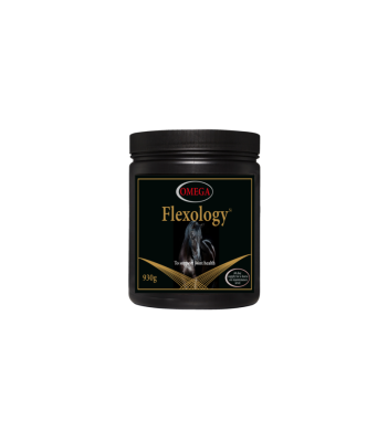 omega-flexology-wsparcie-stawow-