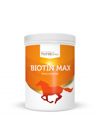 biotinmax-1000g (1)