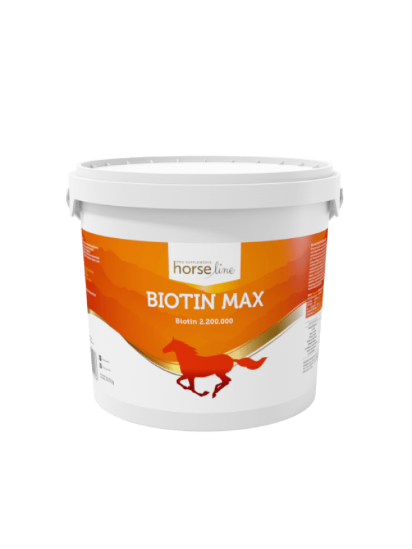 biotinmax-3000g (1)
