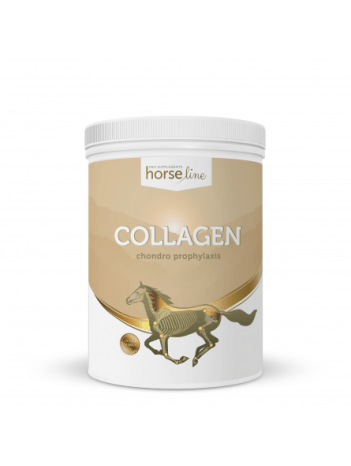 collagen-800g