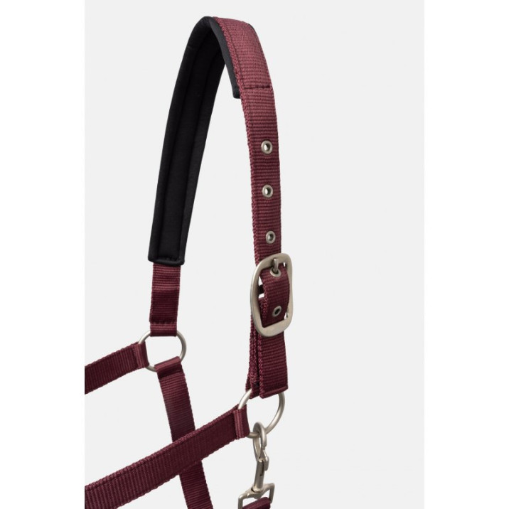 horze-kantaruwiaz-physical-sophistication-burgundy-brown (2)