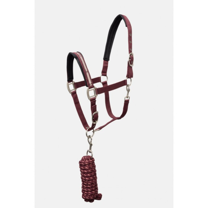 horze-kantaruwiaz-physical-sophistication-burgundy-brown