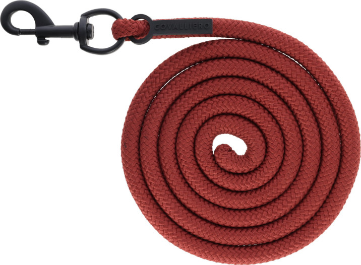 231710_Main_image-_3231091