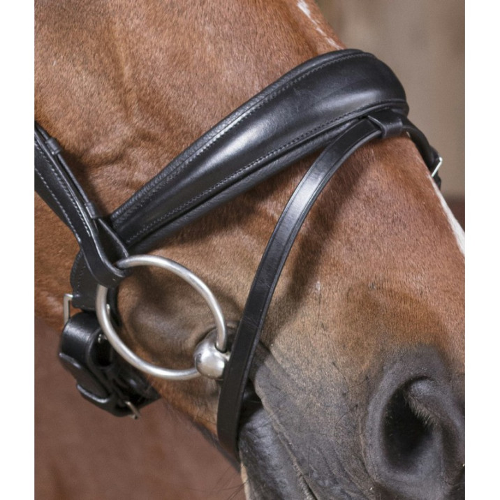 norton-pro-strass-bridle (1)