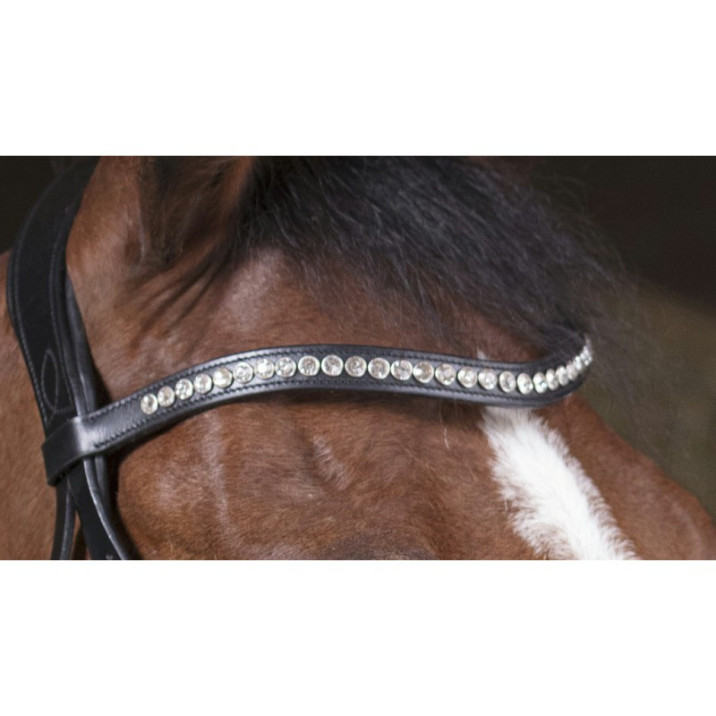 norton-pro-strass-bridle