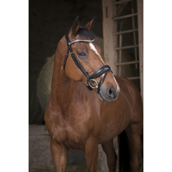 norton-pro-strass-bridle (3)